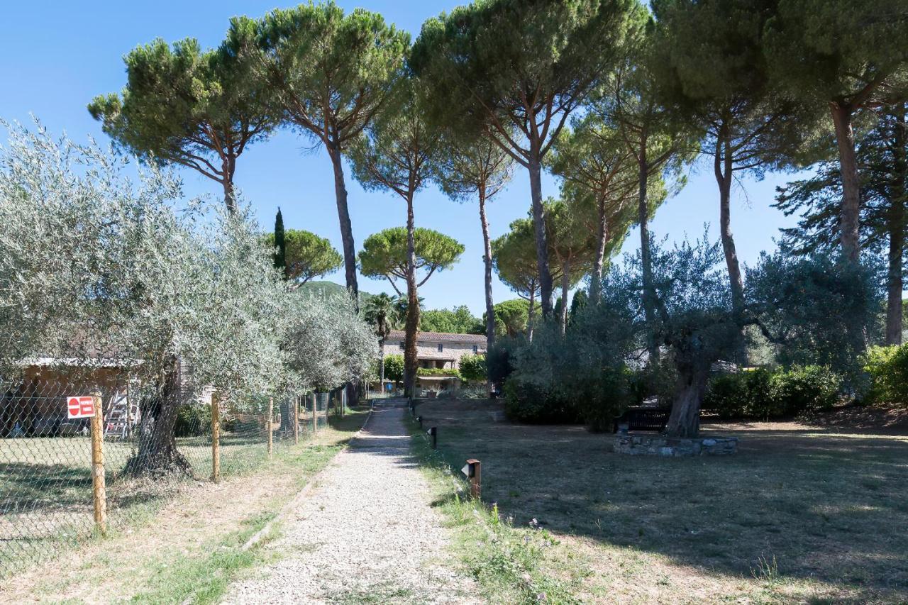 Dolce Far Niente Apartment With Pool & Parking Passignano sul Trasimeno Luaran gambar