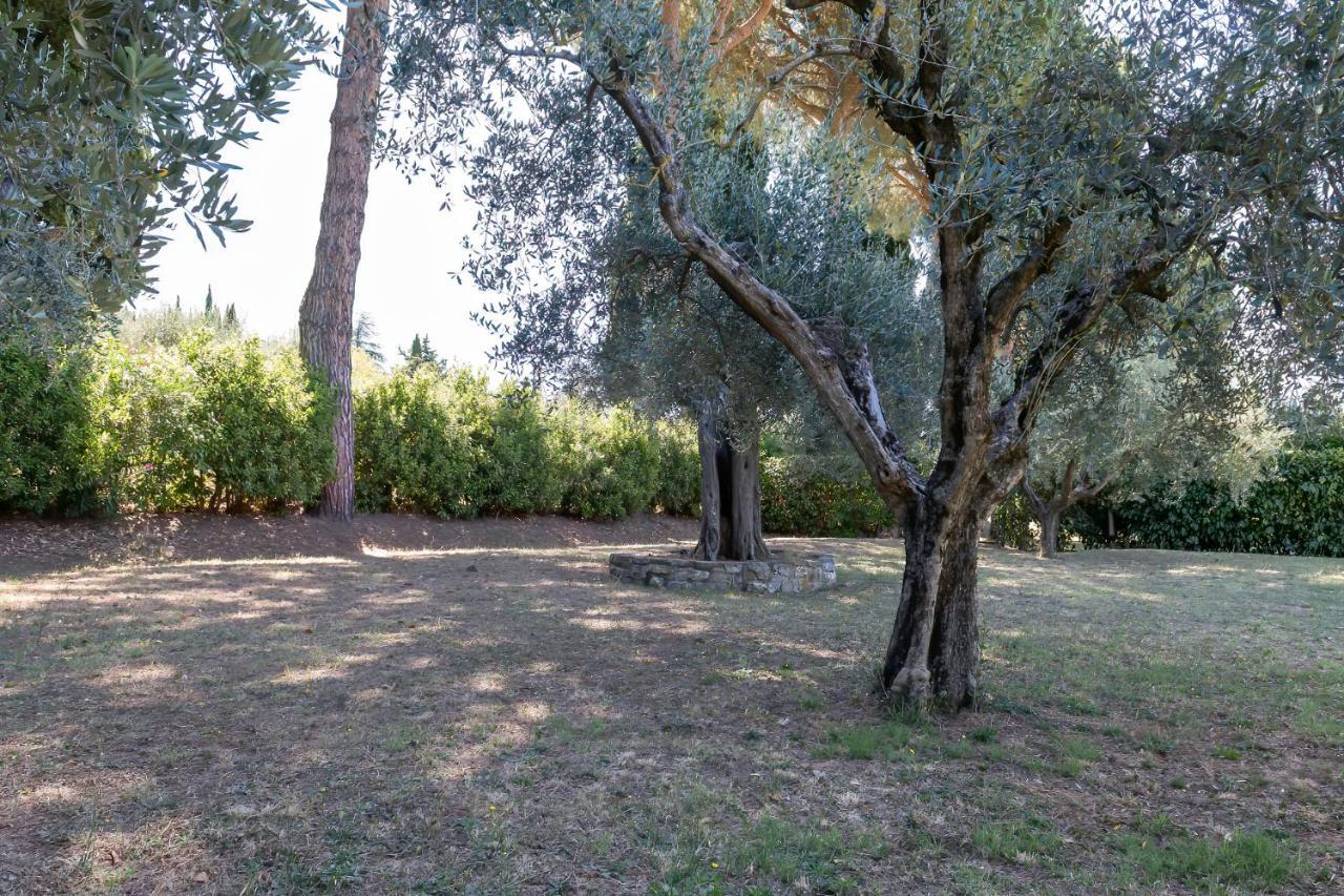 Dolce Far Niente Apartment With Pool & Parking Passignano sul Trasimeno Luaran gambar